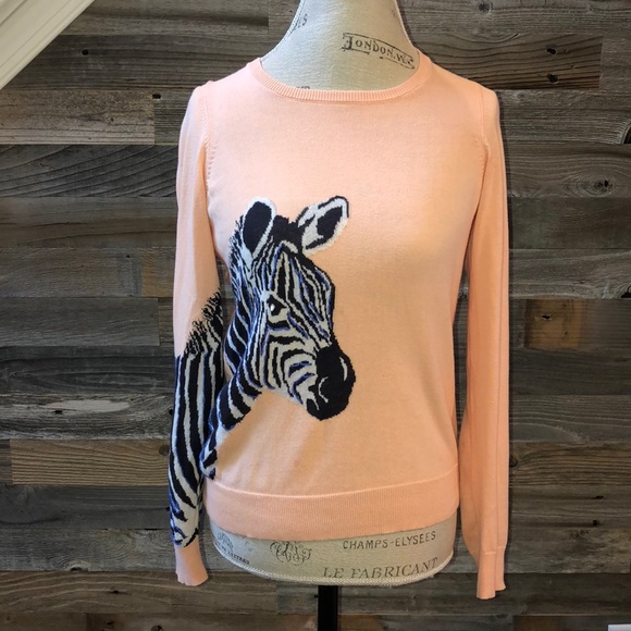 Anthropologie | Sweaters 